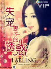 ʧ�����ӵ��ջ�