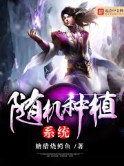 �����ֲϵͳ����