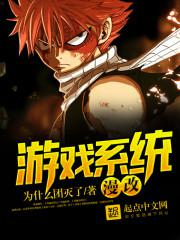 ������Ϸϵͳ