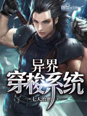 ��紩��ϵͳ����