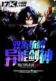 ˫ϵͳ�����ܽ���