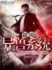 ��������ϵͳ