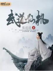 ����ɻ�����