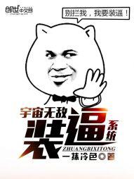 �����޵�װ��ϵͳ