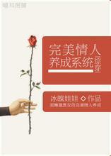 ������������ϵͳ