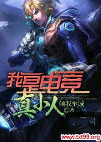 ���ǵ羺��С��