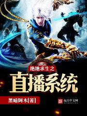 ��������ֱ֮��ϵͳ