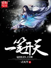 һ�ʿ������