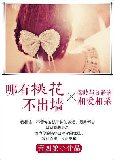 �����һ�����ǽ