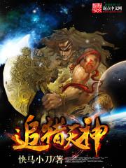 ׷���������