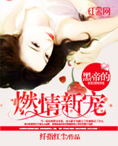 �ڵ۵�ȼ���³����