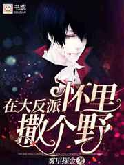 �ڴ��ɻ�������Ұ����