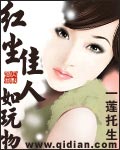 红尘佳人如玩物封面