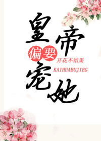 �ʵ�ƫҪ��������