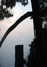 ƣ������