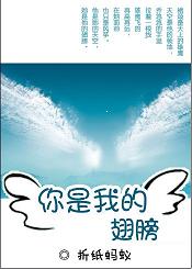 你是我的翅膀封面