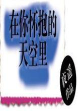 ���㻳������������