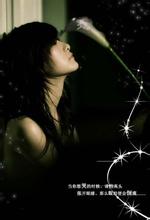 ����֮��