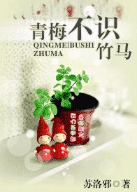 ��÷��ʶ��������