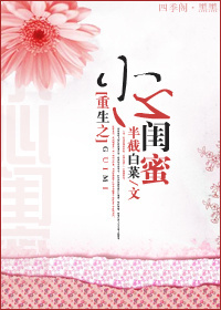 ����֮С�Ĺ��۷���