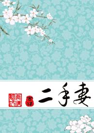 二手妻封面