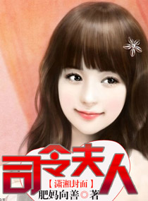 ˾����˷���