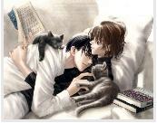 ϲ���͵�������