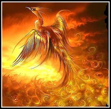 ����Ҳ����