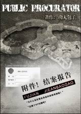 �������᰸����