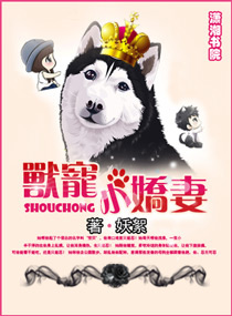 �޳�С���޷���