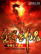 ���𽣻����