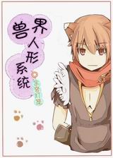 �������ϵͳ����