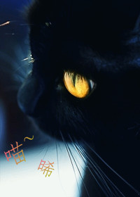 ���������Ѫ������