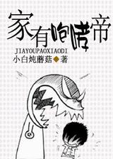 ���������۷���