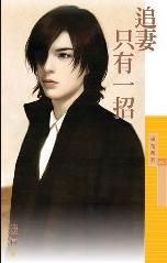 追妻只有一招封面