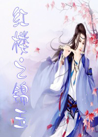 ��¥֮�������