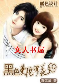 ��ɫ�����޻�����