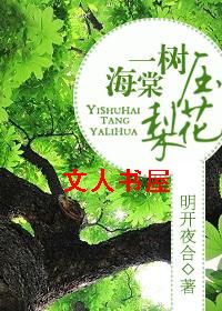 һ������ѹ�滨