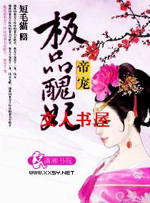 �۳�--��Ʒ��������