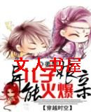 ���ܶ��ӻ�����