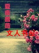 ��ĩǾޱ����