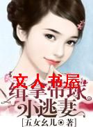 ���ô���С���޷���