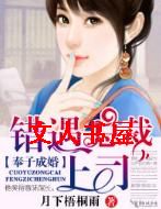 ���ӳɻ�,�����ܲ���˾����