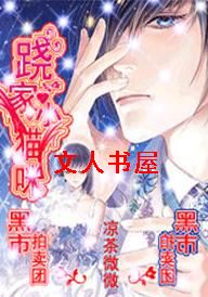 ��ʯ������:�μ�Сè�����