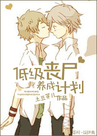 �ͼ�ɥʬ���ɼƻ�