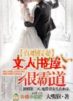 ������,��˾�Ϲ��ܰԵ�����