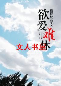 �������ݷ���