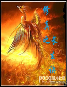 ����֮������