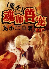 [����]��ʦ�޳����