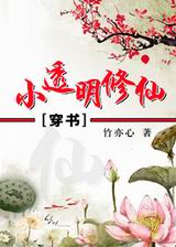 [����]С͸�������ӷ���